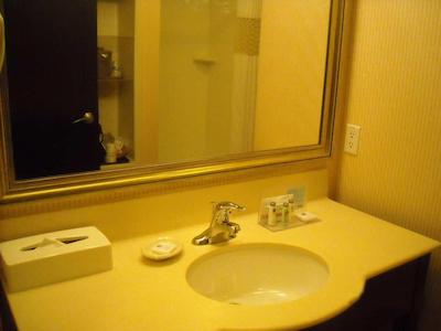 هامپتون این اند سویتز بای هیلتون ادمنتون اینترنیشنال آیرپرت