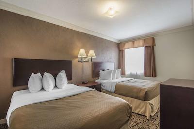 کوالیتی این اند سویتز