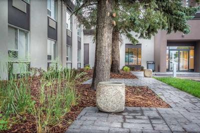 بست وسترن پرمیر دنهام این اند سویتز