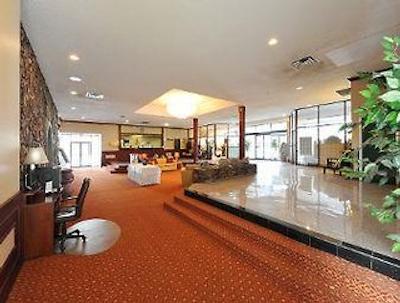 دز این کرانبروک