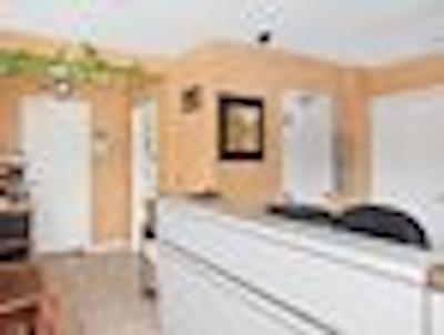 نایتز این اُشاوا