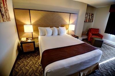 بست وسترن آیردری