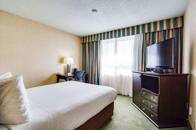 اساوریج این ادمنتون اسود