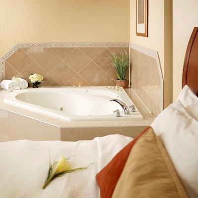 هیلتون گاردن این ترنتو/اجاکس