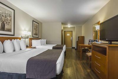 کوالیتی این اند سویتز ساسکاتون