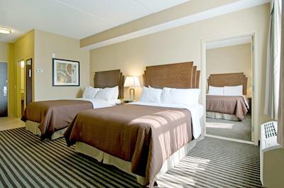 بست وسترن باری