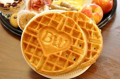 بست وسترن باری