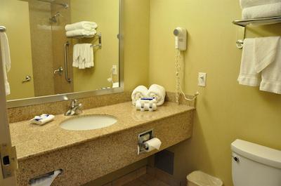 بست وسترن باری