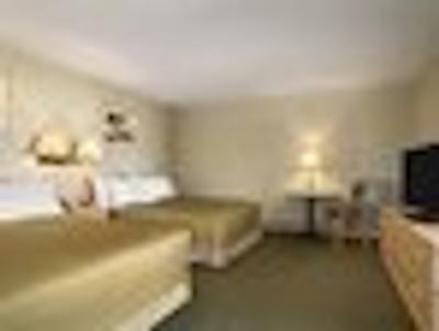 نایتز این کاملوپز