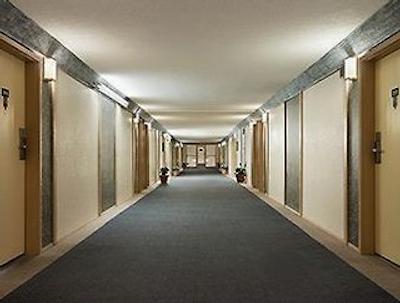 نایتز این کاملوپز