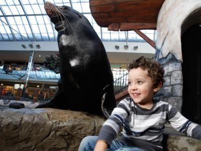 وست ادمنتون مال این