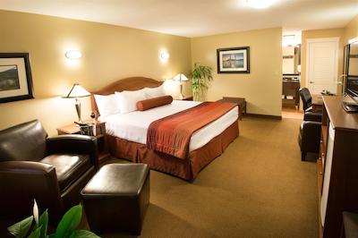 بست وسترن سیکاموز این