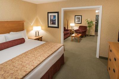 بست وسترن سیکاموز این