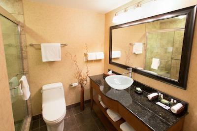 بست وسترن سیکاموز این