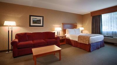 بست وسترن سیکاموز این