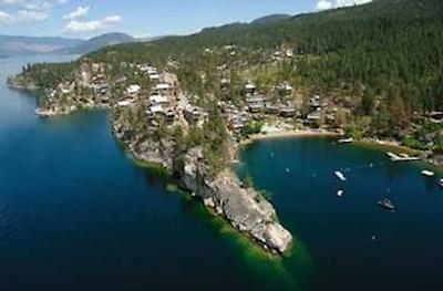 اوتباک لاکسید واکیشن همز