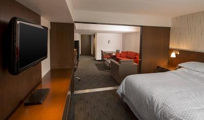 فور پوینتز بای شراتون وینیپگ اینترنیشنال آیرپرت