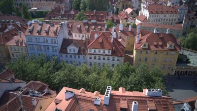 و زلاتیچ نوزک