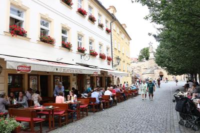 و زلاتیچ نوزک