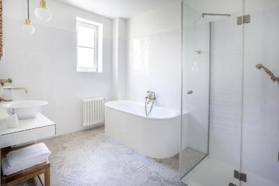 و زلاتیچ نوزک