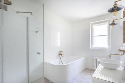 و زلاتیچ نوزک