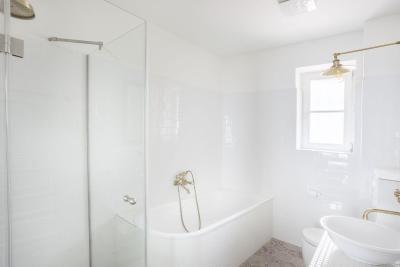 و زلاتیچ نوزک