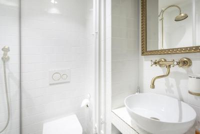 و زلاتیچ نوزک