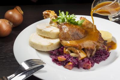 و زلاتیچ نوزک