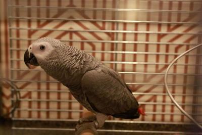 مترپلیتان اُلد تون هتل