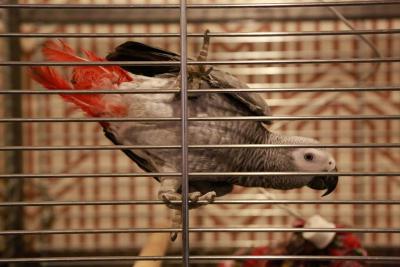 مترپلیتان اُلد تون هتل