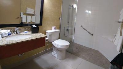 بست وسترن پلاس رس سیتی سویتز