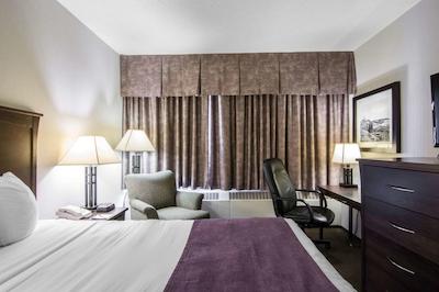 کوالیتی این اند سویتز یلونیف