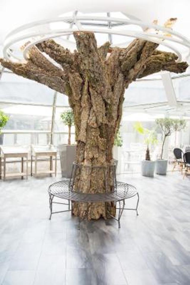 آیبیس پاریس تور ایفل کامبرون 15ام