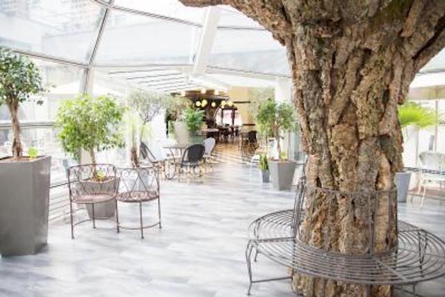 آیبیس پاریس تور ایفل کامبرون 15ام