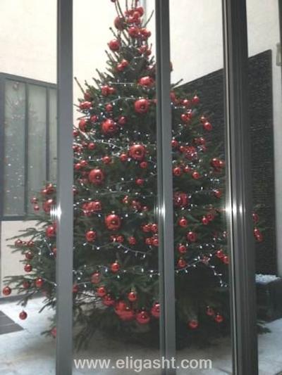 29 لپیک مونمارتر