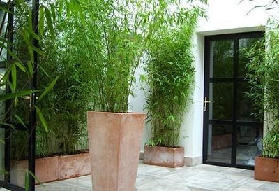 تینجیز