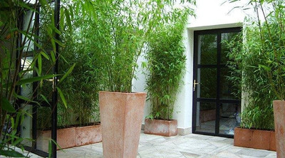 تینجیز