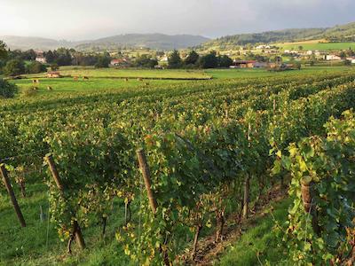 مرکور ردز کاددرال