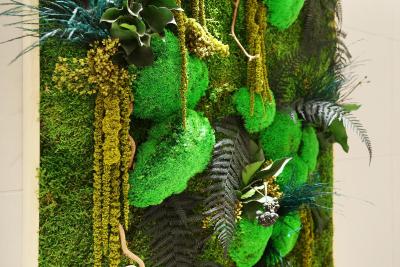 لز جاردینز د مادمویسل