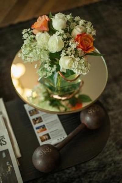 هاندسُم بای الگانشیا