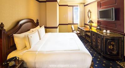 سنت جیمز آلبانی پاریس هتل اسپا