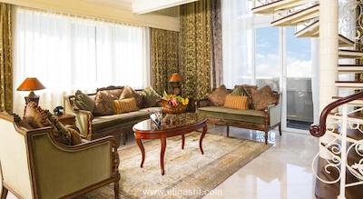 سنت جیمز آلبانی پاریس هتل اسپا