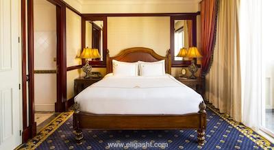 سنت جیمز آلبانی پاریس هتل اسپا