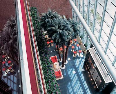 لیوینگ هتل ویسنسی