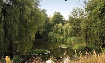 لیوینگ هتل ویسنسی