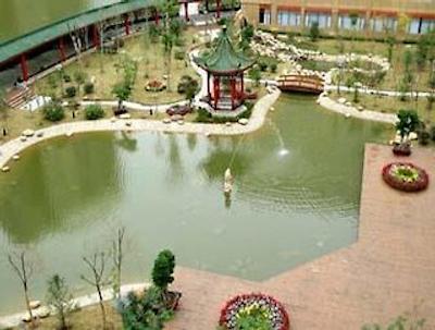 رامادا پلازا ووکسی