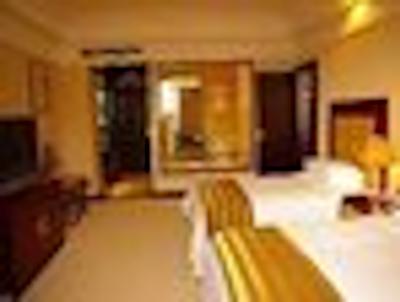 رامادا پلازا ووکسی