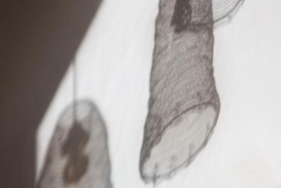 بست وسترن پرمیر له سار فلیس اپرا