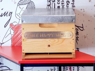 آیبیس پورت دیتالی