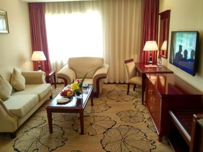 شنزهن لنگانگ جون یی هتل